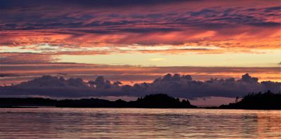 Sailor's Delight by Mark Larson
